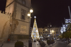 Navidad 2019